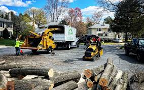 Kyle, SD Tree Care  Company